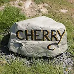 Cherry