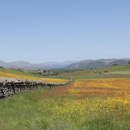 Cherry * Улверстон