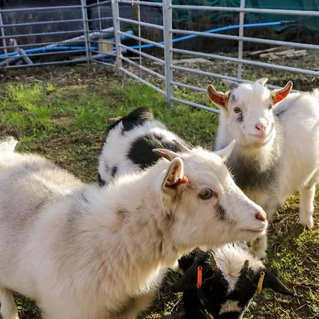 Cherry Nyaraló Ulverston